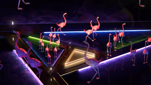 Information Pamphlet by Gavin Shapiro