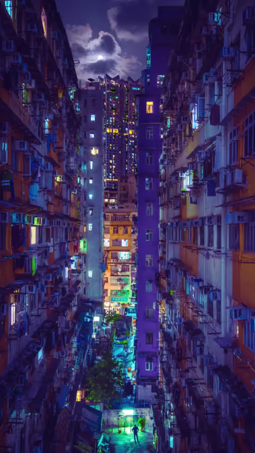 FOMO Curated by Plan X